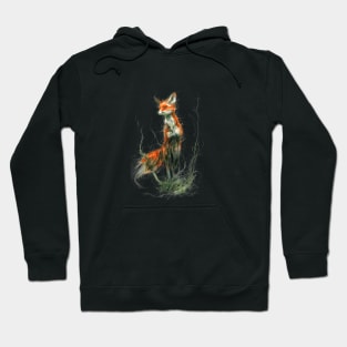 Sweet jumping fox Hoodie